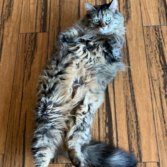 Meet your Posher, Sara ๐๐ปโโ๏ธ - Picture 4 of 4